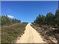Hill track above Finglack in IV2 5EL
