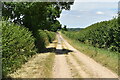 Hardy Way on farm track north of King Down Farm in BH21 5DB