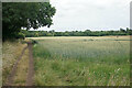 Footpath to Papplewick in NG15 8GA