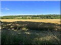 View over farmland to Sarsden in OX7 6NW