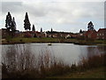 Elvetham Heath village pond in GU51 1JZ
