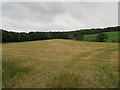 Harvested grass field in the Cullaloe Hills in KY3 0RN