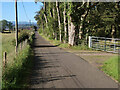 Minor road near Gilbertfield Castle ruins in G72 8XY