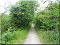 National Cycle Route 1 beside the Thames & Medway Canal in DA12 3HS