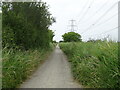 National Cycle Route 1 towards Gravesend in Chalk Ward