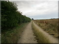 Farm track and permissive path near Langton Grange Farm in PE23 4PT