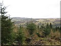 From Blackcraig Forest in PH10 7PX