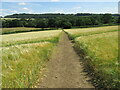 Wide path across the field in YO18 8EP