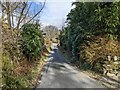 The minor road at Bryn Bwbach in LL47 6UF