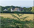Towards a field and houses, Earlswood, Monmouthshire in Shirenewton Community