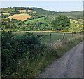 Hillside view from Earlswood, Monmouthshire in Shirenewton Community