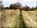 Humber Riverside Footpath in HU4 7AL