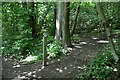 Path junction, Tilburstowhill Woods in RH9 8LZ