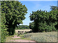Farmland and bridleway near Wrottesley Hall in Staffordshire in WV6 7YP