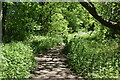Footpath to Kingswood in Broomfield and Kingswood
