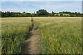 Footpath out to the Elkington Road in Elkington
