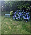 Churchyard bench and flowers, Earlswood, Monmouthshire in NP16 6SB