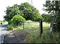 Field gates beside Lead Road in NE40 4AT