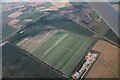 Vegetable picking, Lark Bank, Prickwillow: aerial 2022 in CB7 4SW