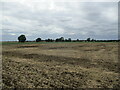 Stubble field off Fen Road, East Keal in PE23 5DQ