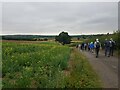 Walkers on farm track leaving Ham Green in B97 5PS
