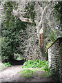 Footpath past the Old Hall in NR27 9NX