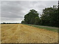 Stubble field, Toynton Fen Side in PE23 5BU