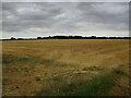 Harvested wheat field neat Toynton St Peter in Toynton St. Peter