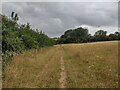 Path running along the edge of grassland known as Texas in SO22 4JD