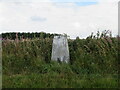 Trig. point on Quixwood Moor in TD11 3RZ