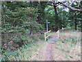 Footbridge on the edge of St Helen's Wood in Coningsby & Mareham Ward