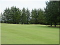 McDonald Golf Club, 5th Hole, Knockie in AB41 9AW