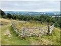 Fenced-off pond on a hillside in Little Longstone