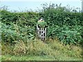 Gate and stile in a hedge in Little Longstone