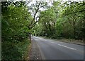 Seven Hills Road (B365) in KT13 0HN
