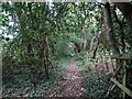 Footpath through woodland in KT16 0RS