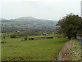 Pastures of the Usk valley in Llangattock Community