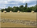Round bales, Preston in EH22 2PF