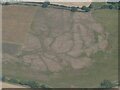 Cropmarks on field near Kentish Farm, NW of Stisted: aerial 2022 (1) in CM77 8AL