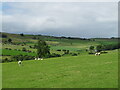 Green pastures, Hollins Farm in DL11 7NH