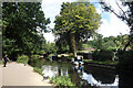Basingstoke Canal at Frimley Lodge Park in GU16 6NT