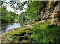 Sandstone cliffs on the River Ayr in KA5 5JL