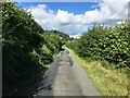Minor road in the Dyfi Valley in Glantwymyn Community