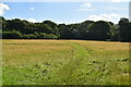 Grassland, Selsdon Wood in Selsdon Vale & Forestdale Ward