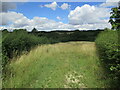 Grass field near Leigh Lodge in Leighfield