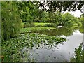Private Fishing Pond at Lathom Laboratories in Lathom