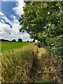 Private path in the grounds of Lathom Laboratories in Lathom