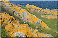 Colourful rocks in AB12 4RY