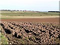 Ploughed land at Pittarthie in KY10 2RZ