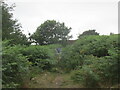 Bracken covered slopes of Cribarth. in SA9 1TJ